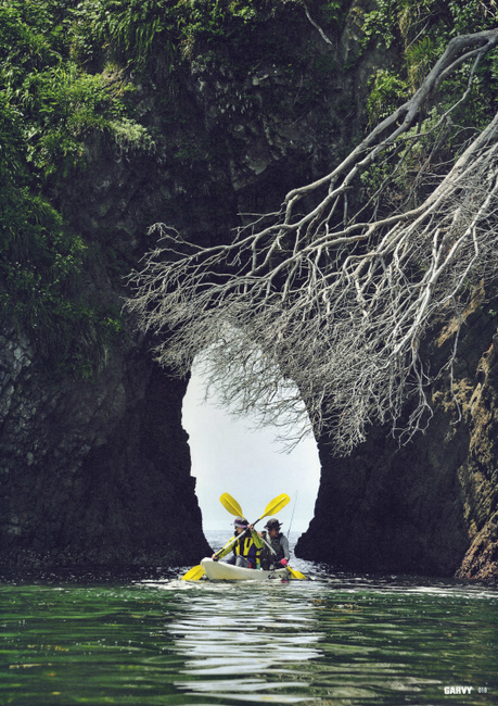 伊豆自然学校　掲載雑誌