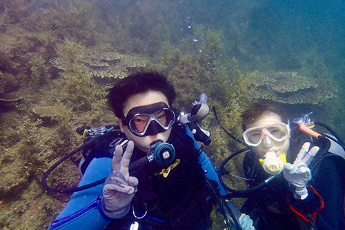 西伊豆ならではのダイビング体験です