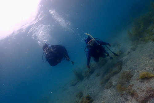 西伊豆の海は透明度抜群ですよ