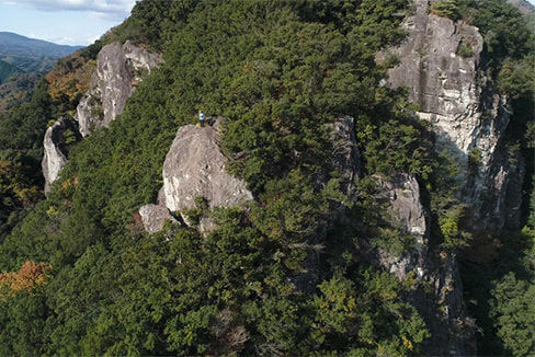 アニマルトラックも楽しめる