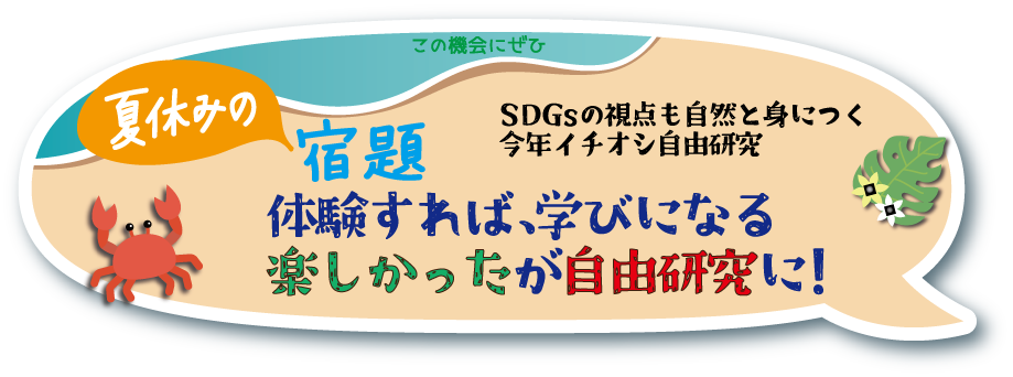 夏休み特別プラン