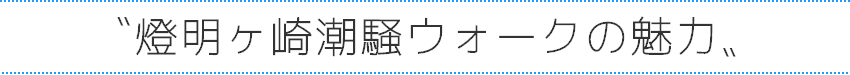 伊豆自然学校燈明が崎シーサイドウォークの魅力