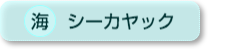 海|シーカヤック