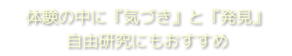 体験の中に「気づき」と「発見」。自由研究にのおすすめ