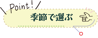 POINT 季節で選ぶ体験プラン