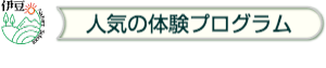 伊豆自然学校｜人気の体験プログラム