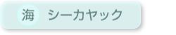 海｜シーカヤック
