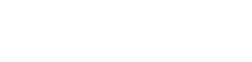 体験ダイビングでお魚とお友達