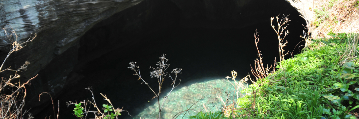 西伊豆堂ヶ島おさんぽジオガイドツアー